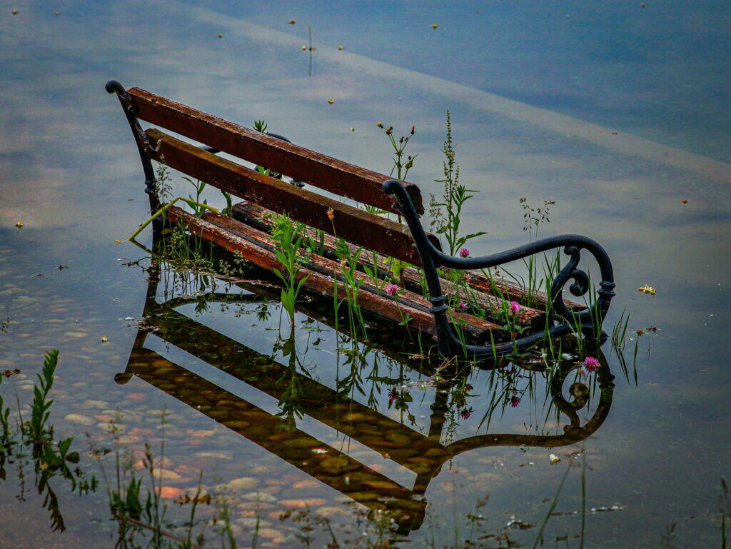 banc dans une inondation, crue, pluie, inondé