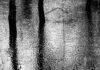 image de pluie qui tombe, inondation dans la nature, arbres