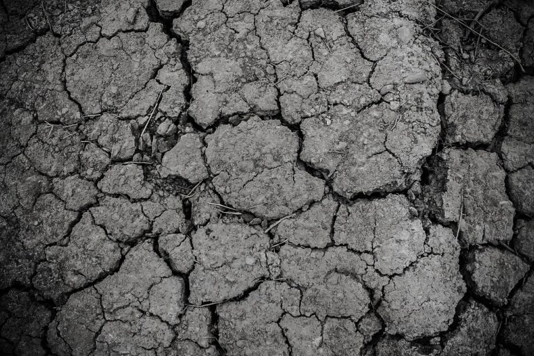 erosion des sols, sol craquelé et sec