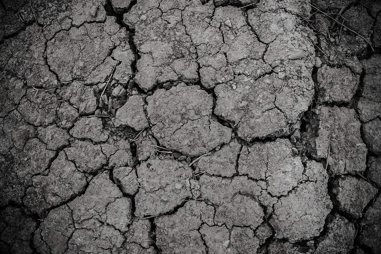 erosion des sols, sol craquelé et sec