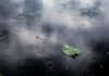 eau de pluie sur le sol