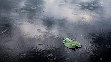 eau de pluie sur le sol