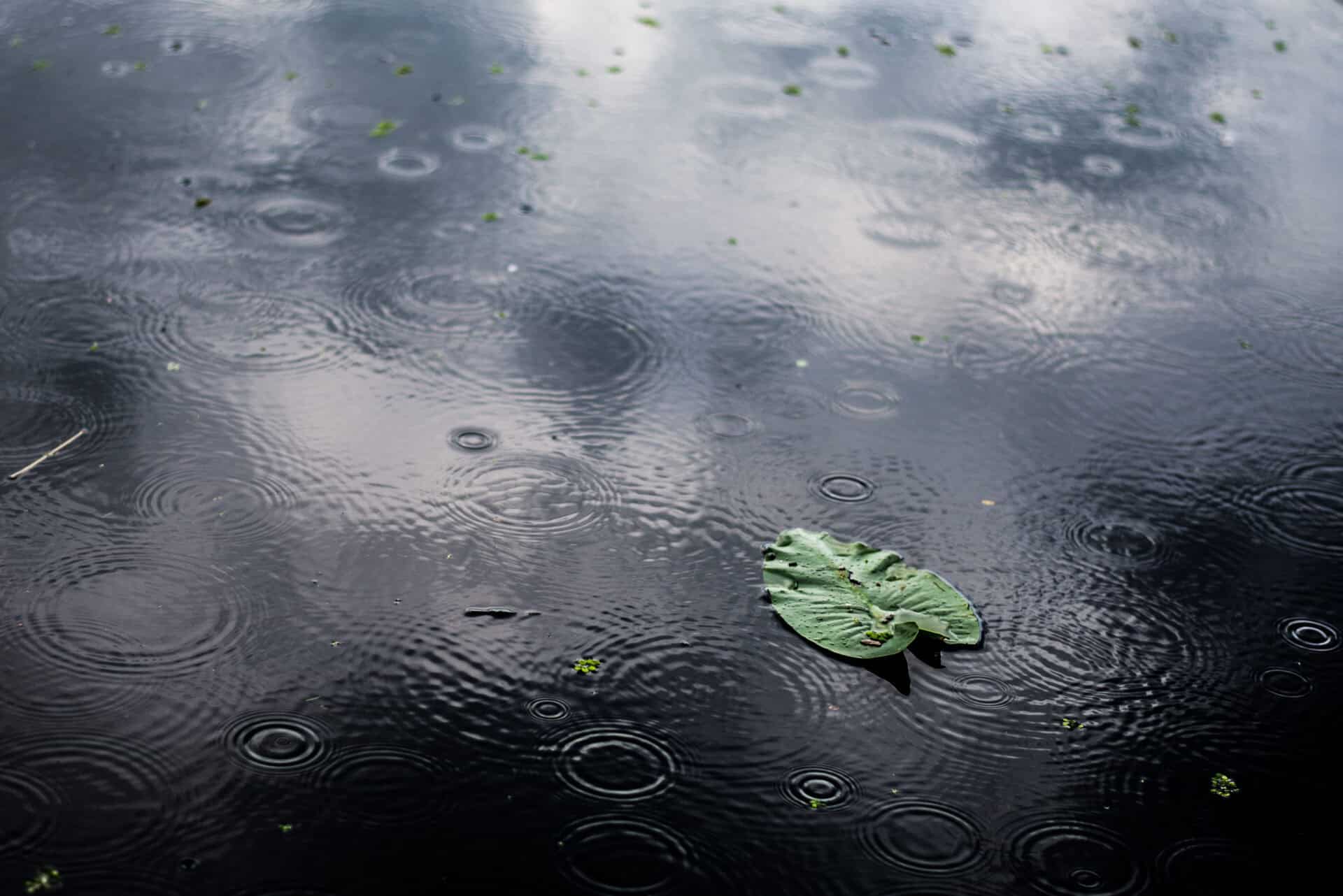 eau de pluie sur le sol